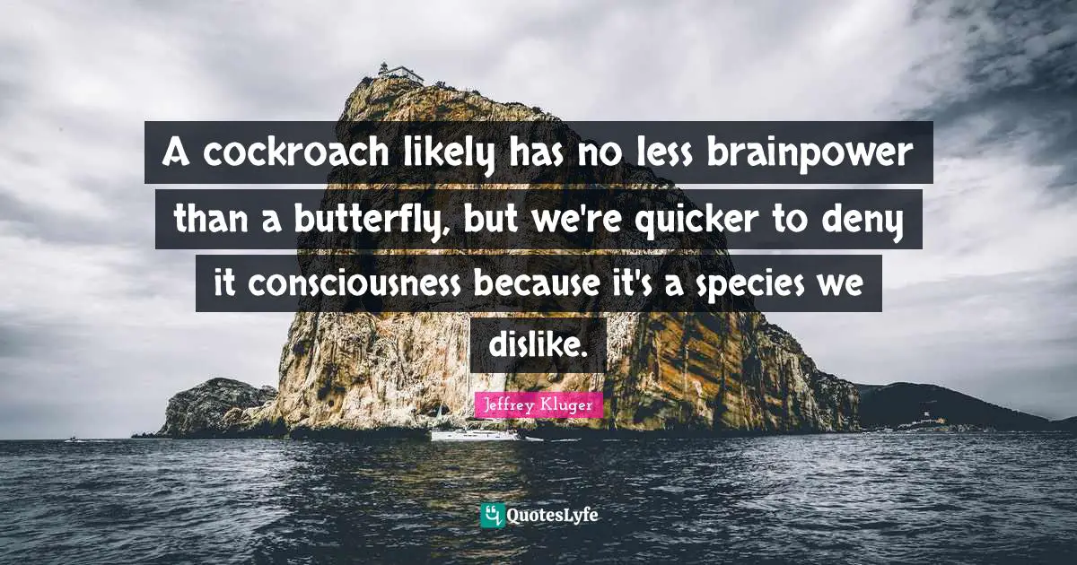 A cockroach likely has no less brainpower than a butterfly, but we're quicker to deny it consciousness because it's a species we dislike.