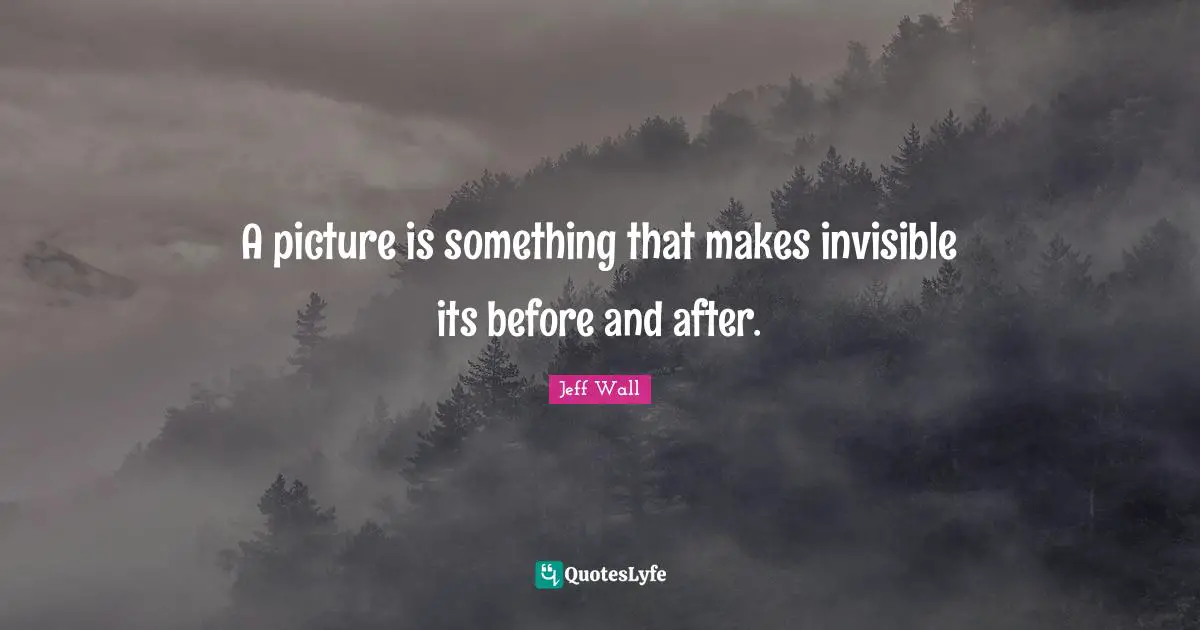 J. J. Wall Quotes: "A picture is something that makes invisible its before and after."