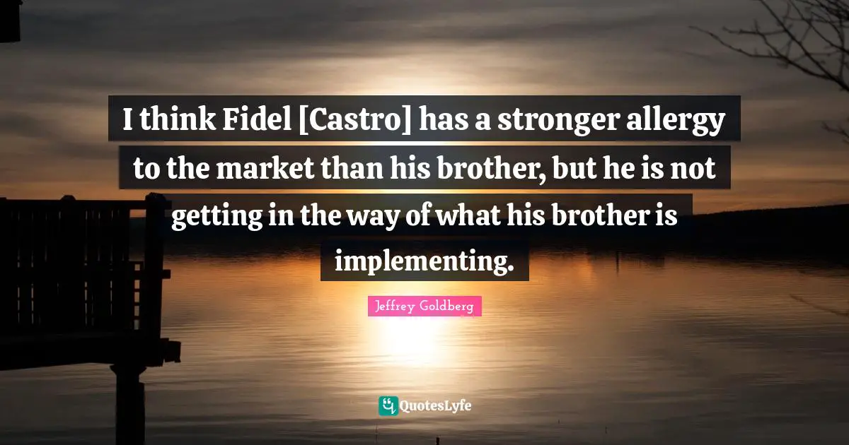 I think Fidel [Castro] has a stronger allergy to the market than his brother, but he is not getting in the way of what his brother is implementing.