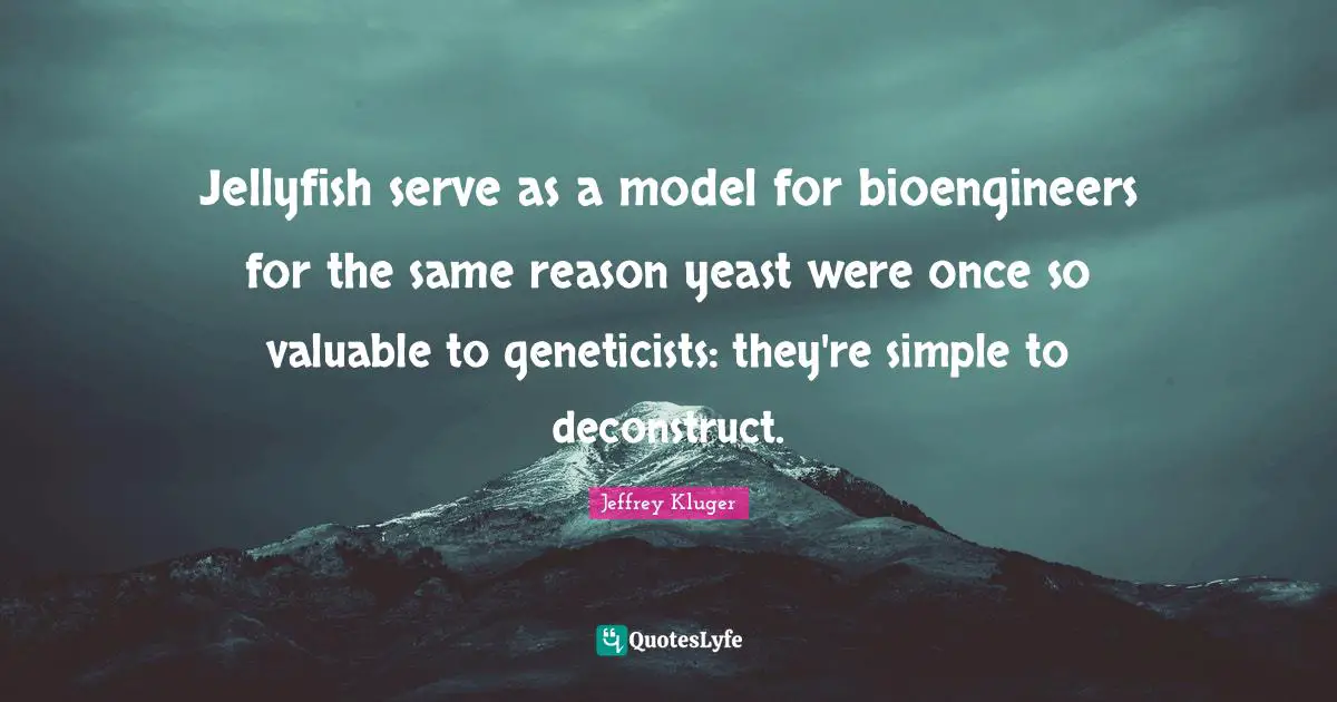 Jellyfish Quotes: "Jellyfish serve as a model for bioengineers for the same reason yeast were once so valuable to geneticists: they're simple to deconstruct."