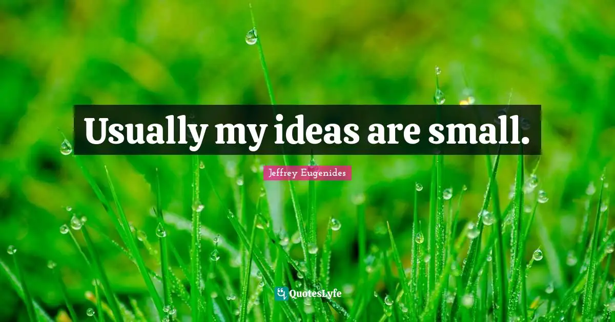 Usually my ideas are small.