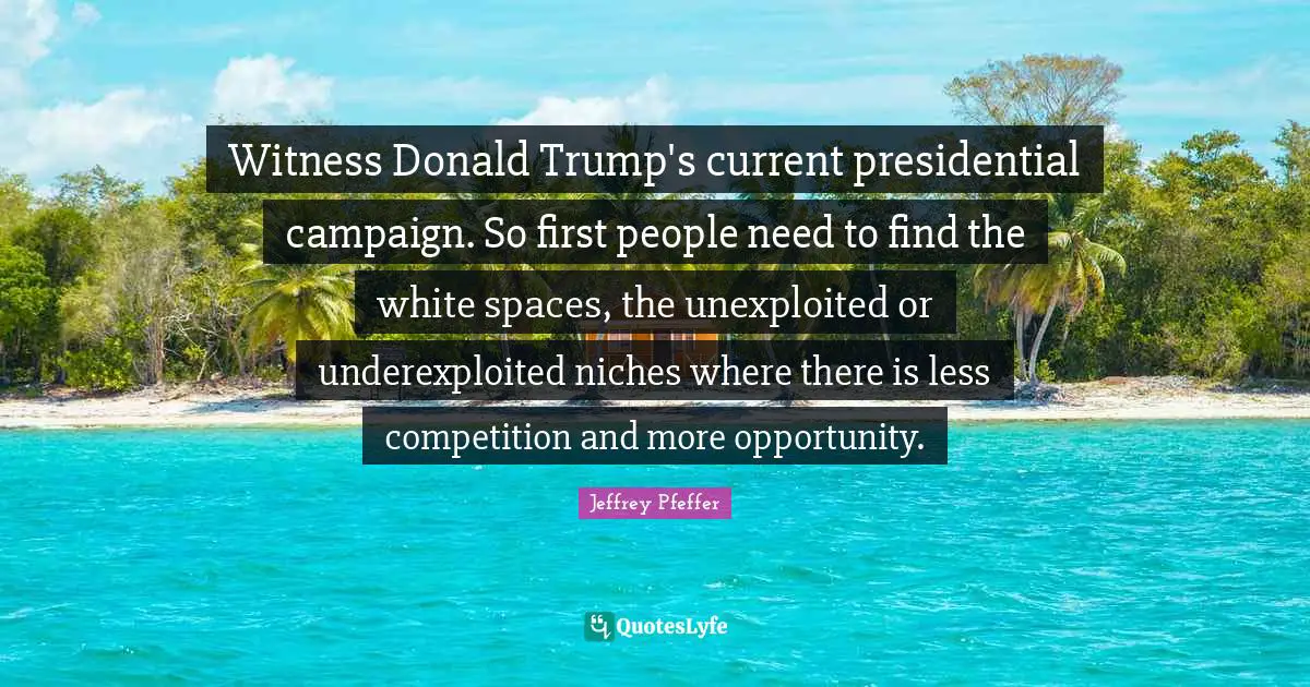 Witness Donald Trump's current presidential campaign. So first people need to find the white spaces, the unexploited or underexploited niches where there is less competition and more opportunity.