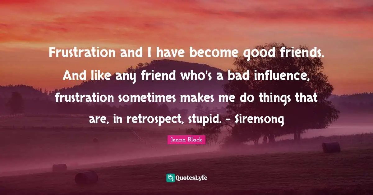 Frustration and I have become good friends. And like any friend who's a bad influence, frustration sometimes makes me do things that are, in retrospect, stupid. - Sirensong