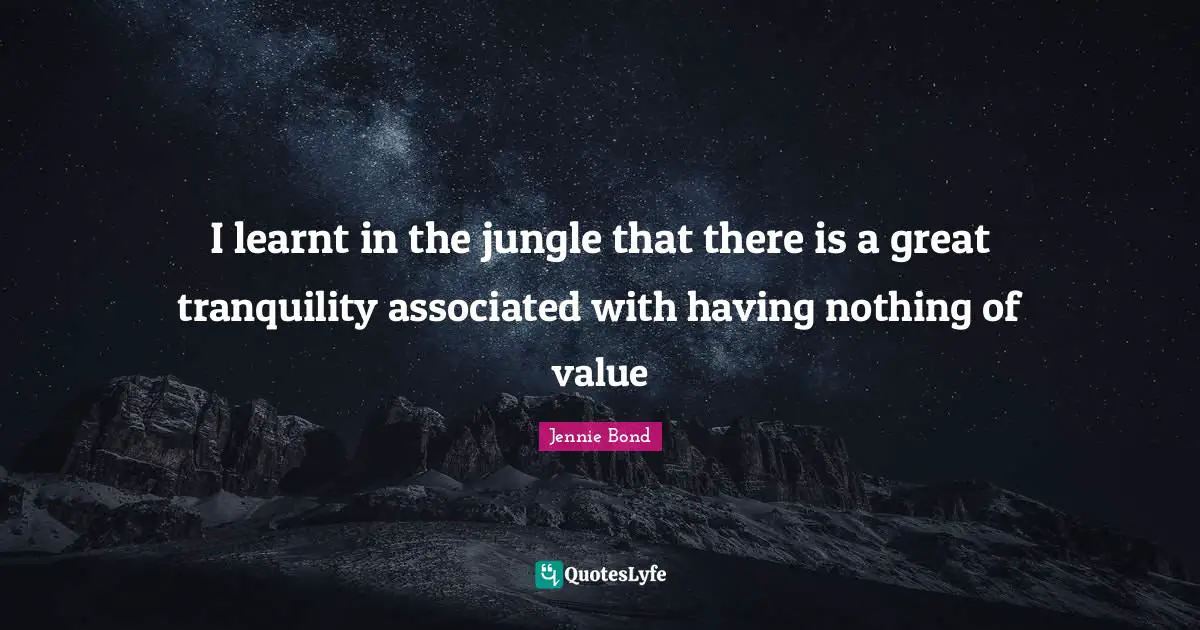 I learnt in the jungle that there is a great tranquility associated with having nothing of value