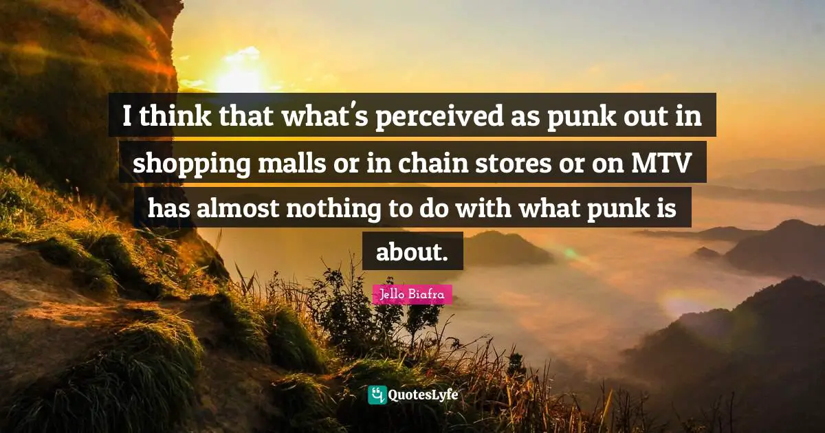 I think that what's perceived as punk out in shopping malls or in chain stores or on MTV has almost nothing to do with what punk is about.