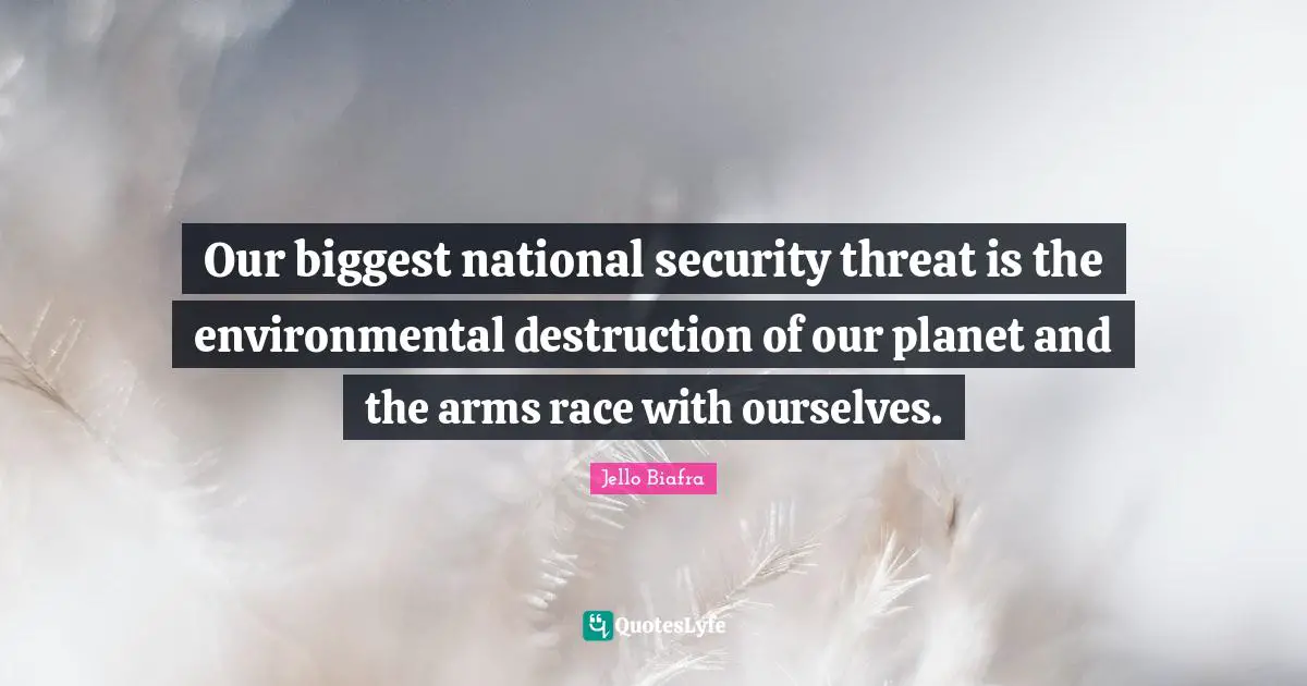 Our biggest national security threat is the environmental destruction of our planet and the arms race with ourselves.