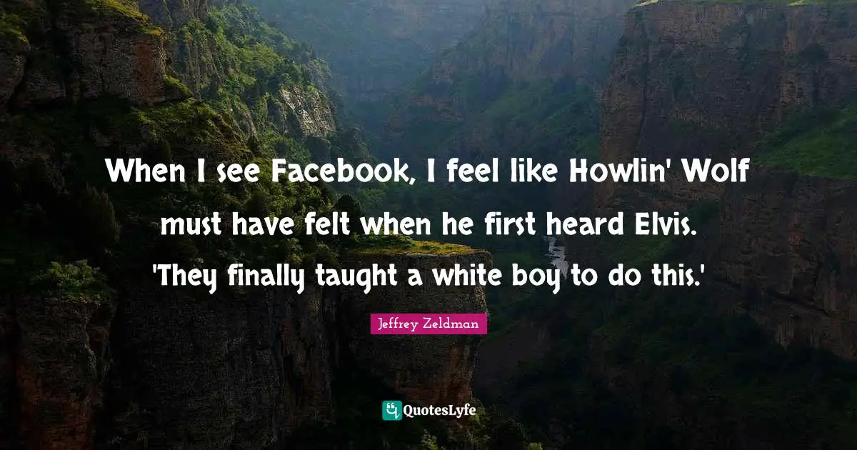 When I see Facebook, I feel like Howlin' Wolf must have felt when he first heard Elvis. 'They finally taught a white boy to do this.'