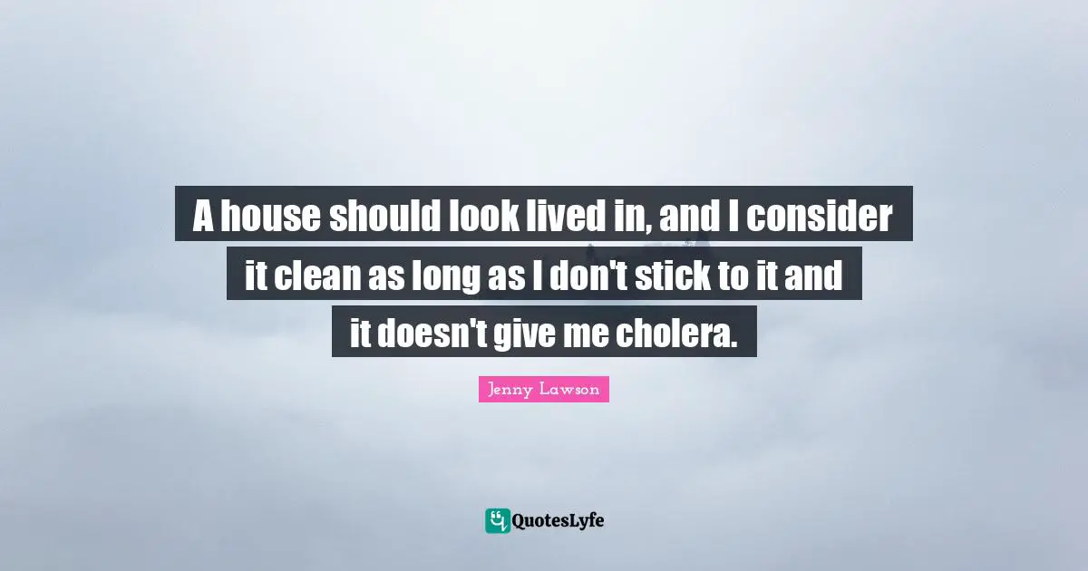 A house should look lived in, and I consider it clean as long as I don't stick to it and it doesn't give me cholera.