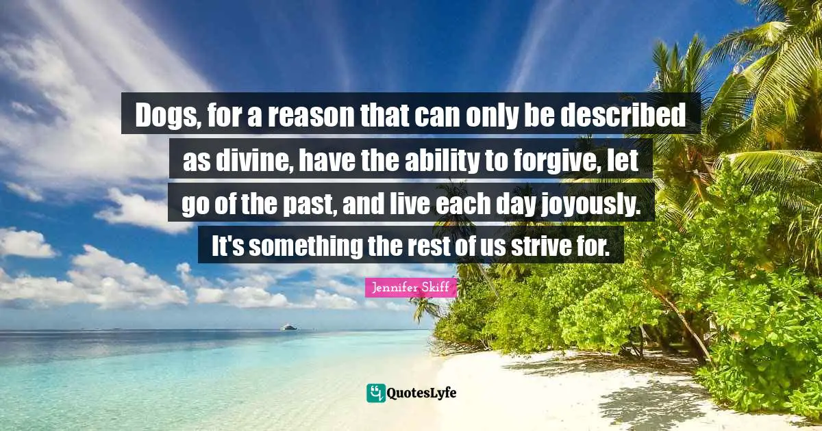 Dogs, for a reason that can only be described as divine, have the ability to forgive, let go of the past, and live each day joyously. It's something the rest of us strive for.