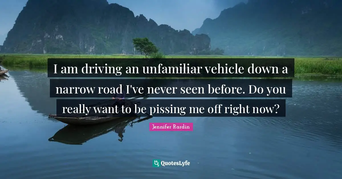 Jennifer Rardin Quotes: "I am driving an unfamiliar vehicle down a narrow road I've never seen before. Do you really want to be pissing me off right now?"