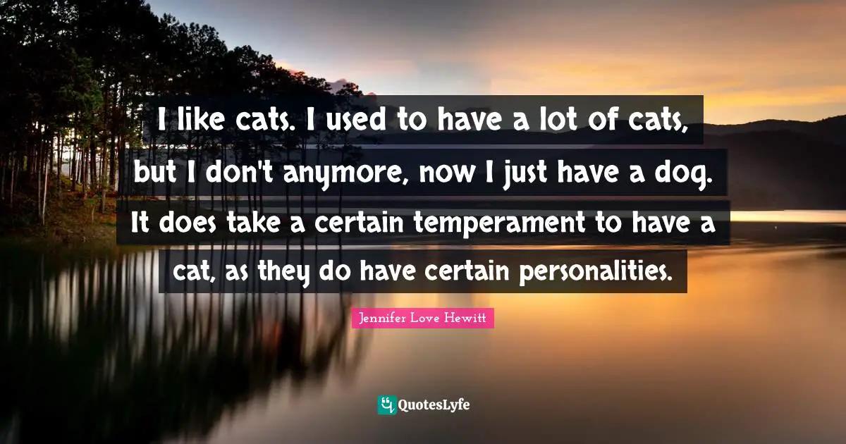 I like cats. I used to have a lot of cats, but I don't anymore, now I just have a dog. It does take a certain temperament to have a cat, as they do have certain personalities.