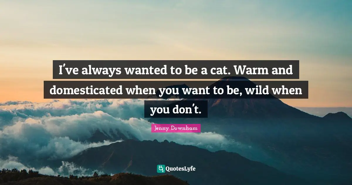I've always wanted to be a cat. Warm and domesticated when you want to be, wild when you don't.