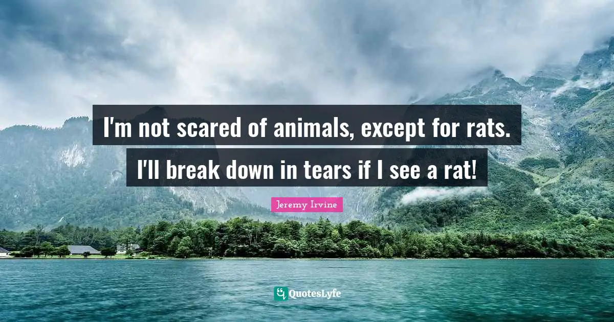 I'm not scared of animals, except for rats. I'll break down in tears if I see a rat!