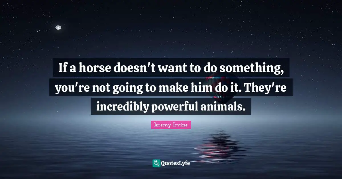 If a horse doesn't want to do something, you're not going to make him do it. They're incredibly powerful animals.