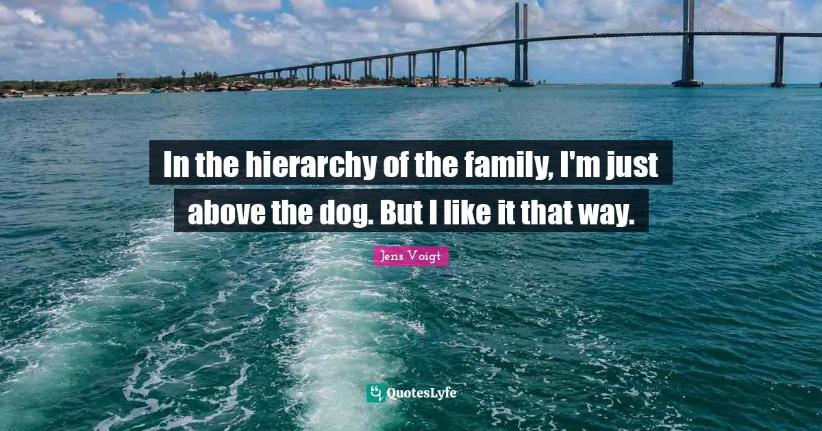 In the hierarchy of the family, I'm just above the dog. But I like it that way.
