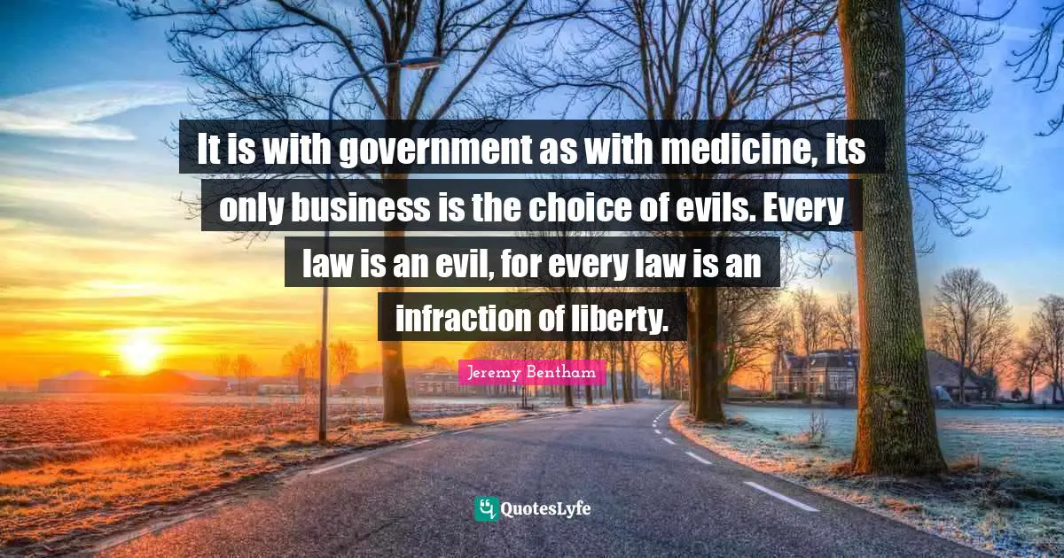 It is with government as with medicine, its only business is the choice of evils. Every law is an evil, for every law is an infraction of liberty.