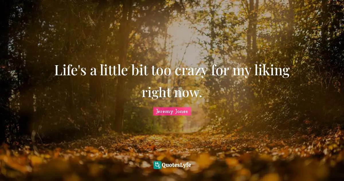 Life's a little bit too crazy for my liking right now.