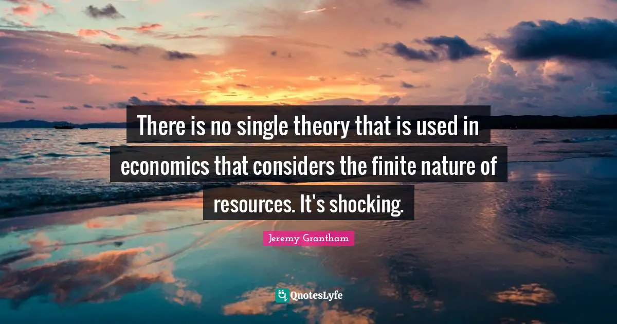 There is no single theory that is used in economics that considers the finite nature of resources. It's shocking.