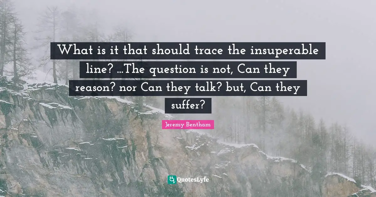 What is it that should trace the insuperable line? ...The question is not, Can they reason? nor Can they talk? but, Can they suffer?