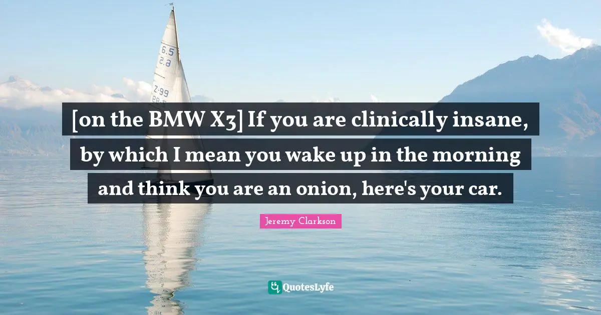 [on the BMW X3] If you are clinically insane, by which I mean you wake up in the morning and think you are an onion, here's your car.