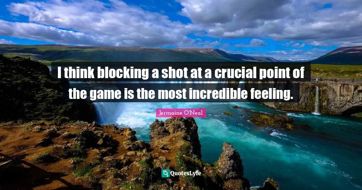 Jermaine O'Neal Quotes: "I think blocking a shot at a crucial point of the game is the most incredible feeling."