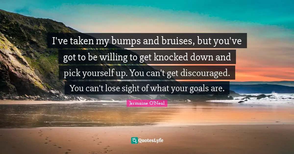 Jermaine O'Neal Quotes: "I've taken my bumps and bruises, but you've got to be willing to get knocked down and pick yourself up. You can't get discouraged. You can't lose sight of what your goals are."