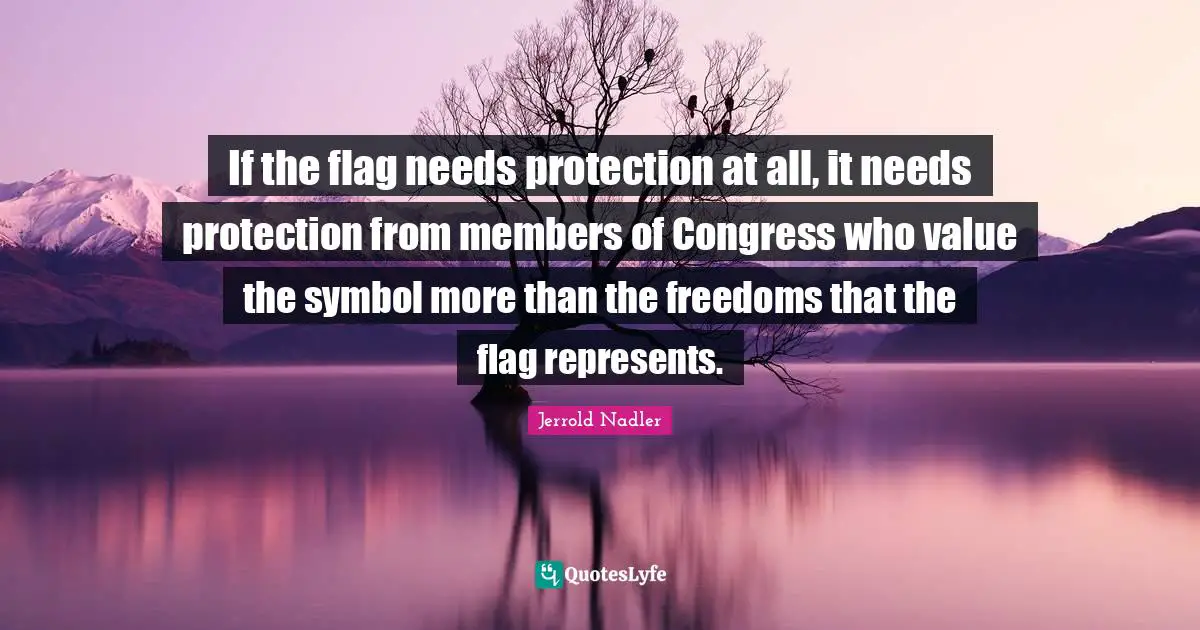 If the flag needs protection at all, it needs protection from members of Congress who value the symbol more than the freedoms that the flag represents.
