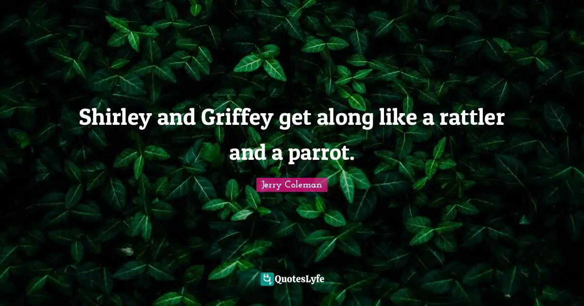 Jerry Coleman Quotes: "Shirley and Griffey get along like a rattler and a parrot."
