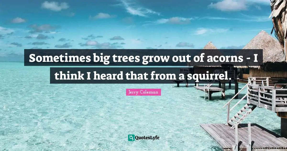 Jerry Coleman Quotes: "Sometimes big trees grow out of acorns - I think I heard that from a squirrel."