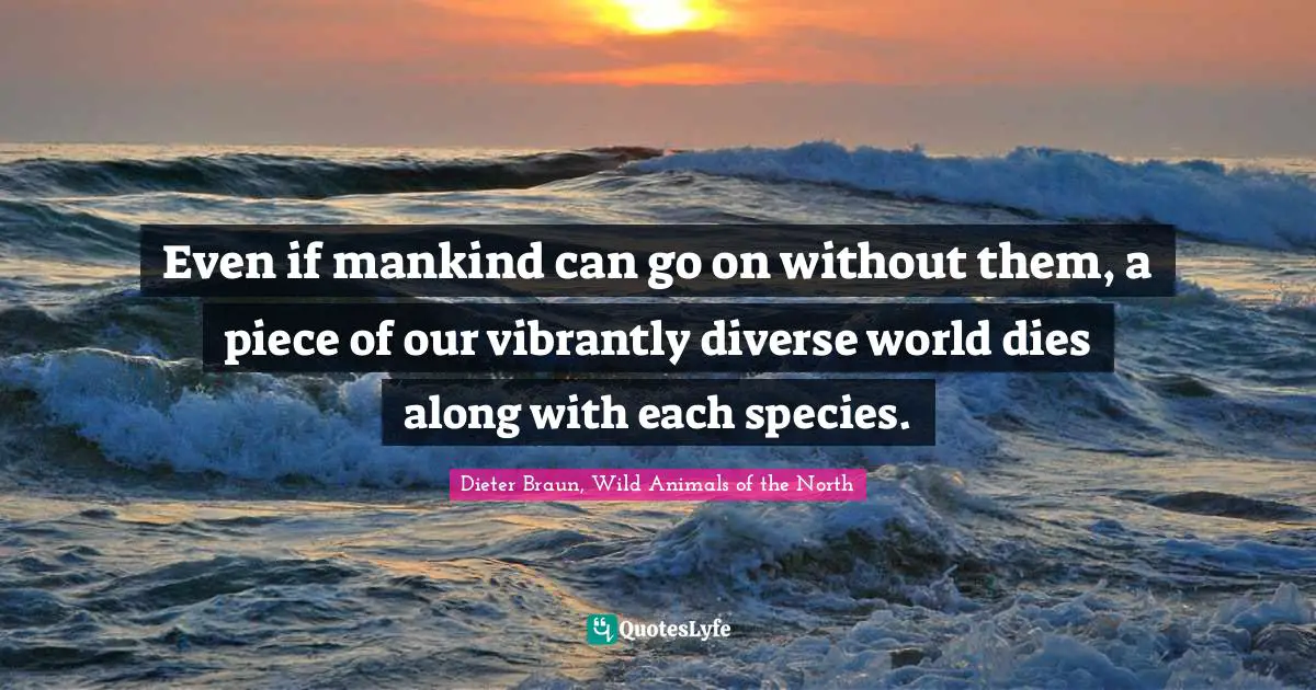 Even if mankind can go on without them, a piece of our vibrantly diverse world dies along with each species.