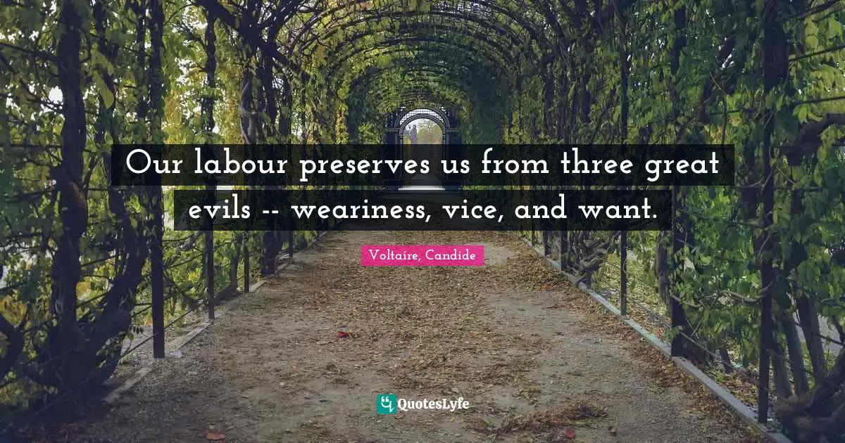 Voltaire, Candide Quotes: Our labour preserves us from three great evils -- weariness, vice, and want.