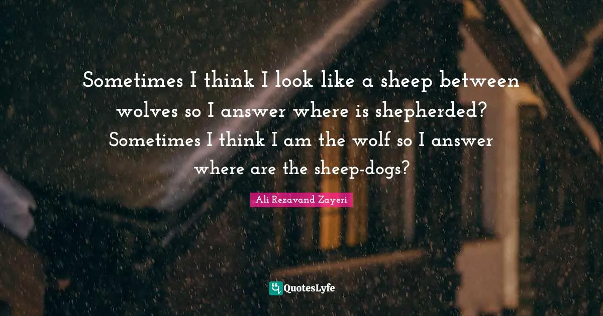 Sometimes I think I look like a sheep between wolves so I answer where is shepherded? Sometimes I think I am the wolf so I answer where are the sheep-dogs?
