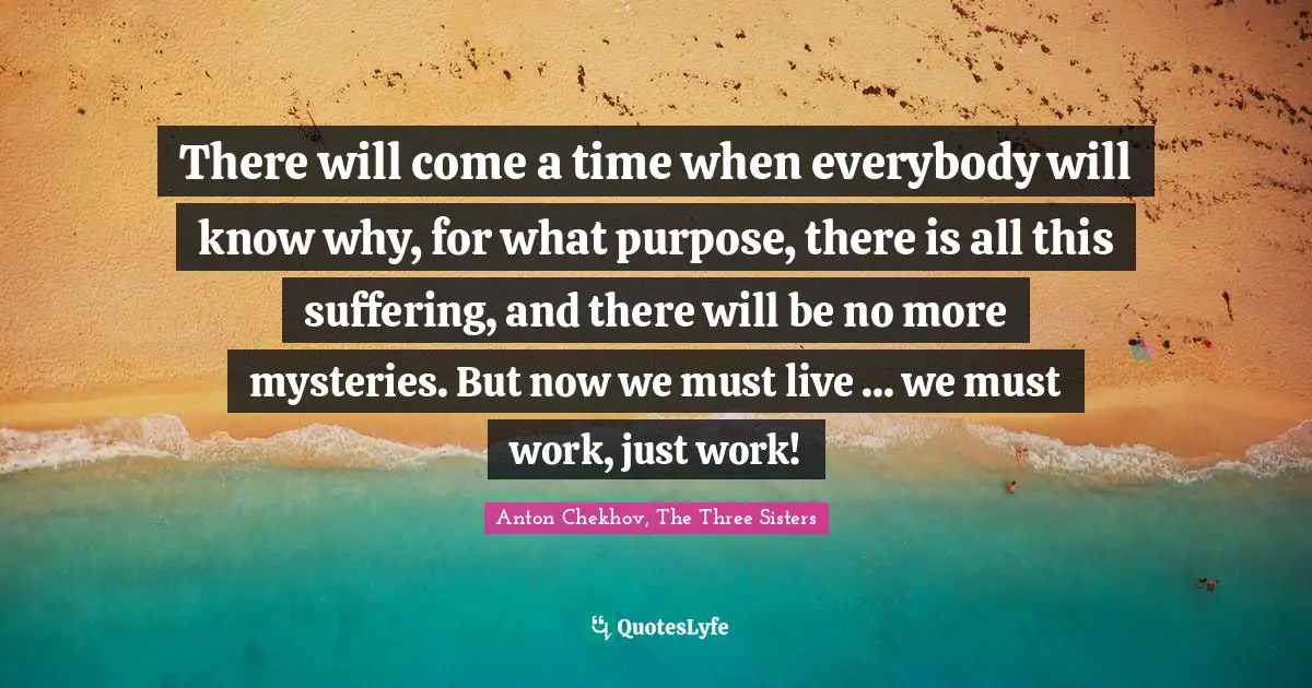 There will come a time when everybody will know why, for what purpose, there is all this suffering, and there will be no more mysteries. But now we must live ... we must work, just work!