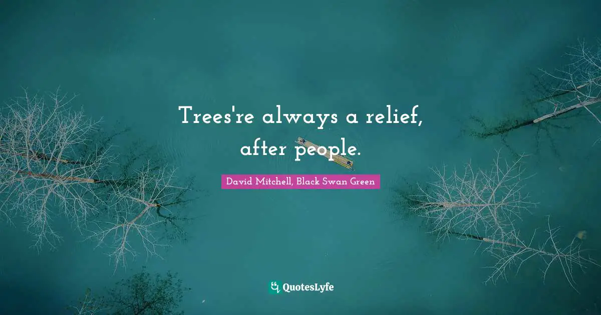 David Mitchell Quotes: "Trees're always a relief, after people."