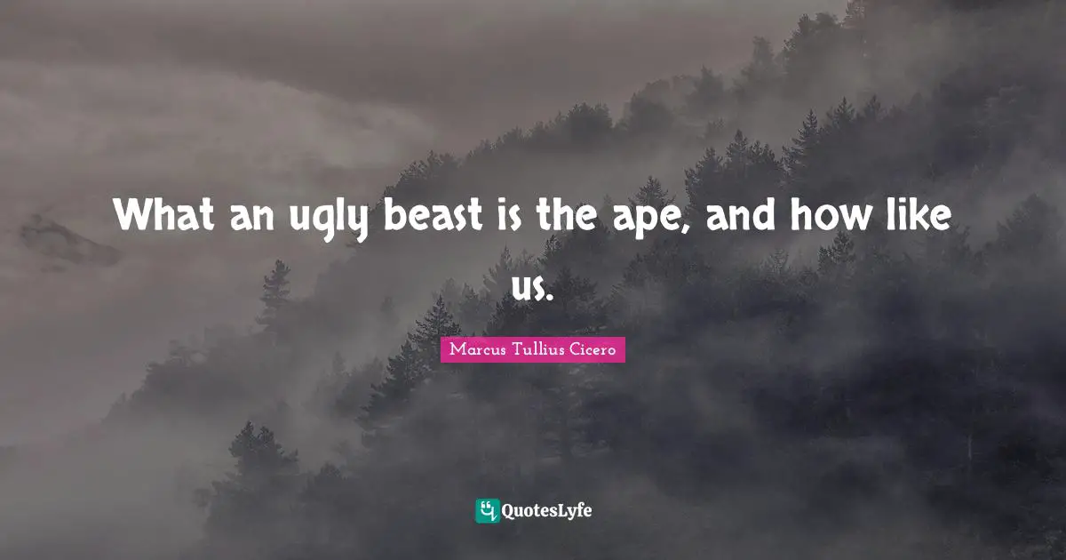 What an ugly beast is the ape, and how like us.