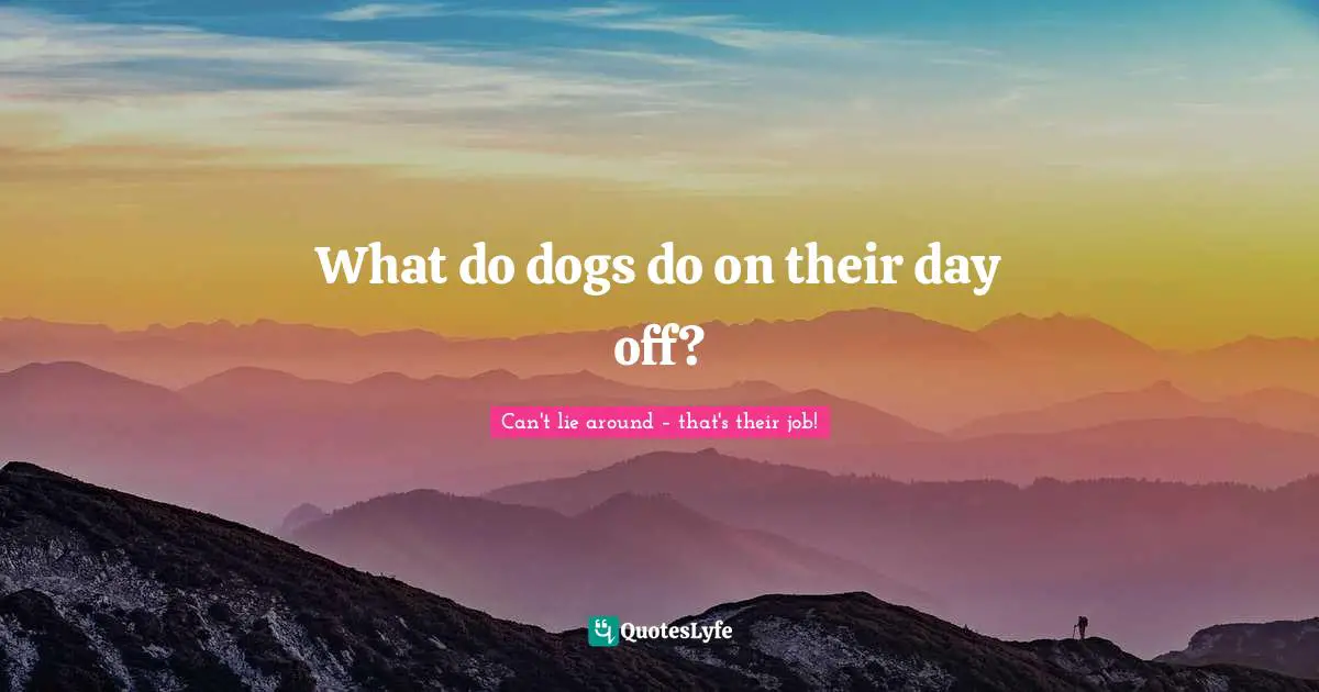 George Carlin Quotes: "What do dogs do on their day off?"