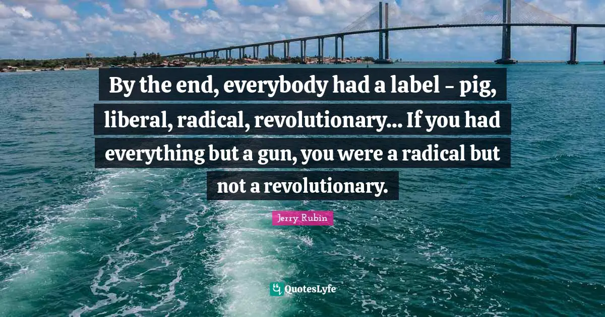 By the end, everybody had a label - pig, liberal, radical, revolutionary... If you had everything but a gun, you were a radical but not a revolutionary.