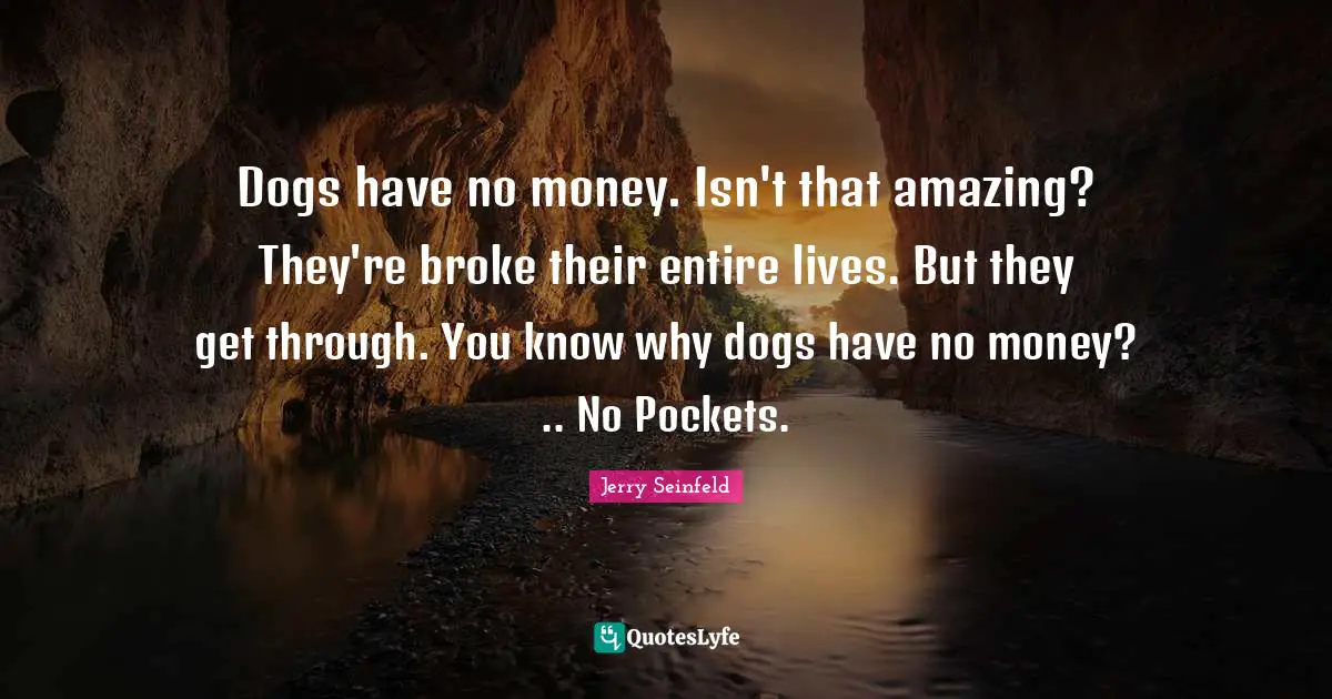 Jerry Seinfeld Quotes: "Dogs have no money. Isn't that amazing? They're broke their entire lives. But they get through. You know why dogs have no money? .. No Pockets."