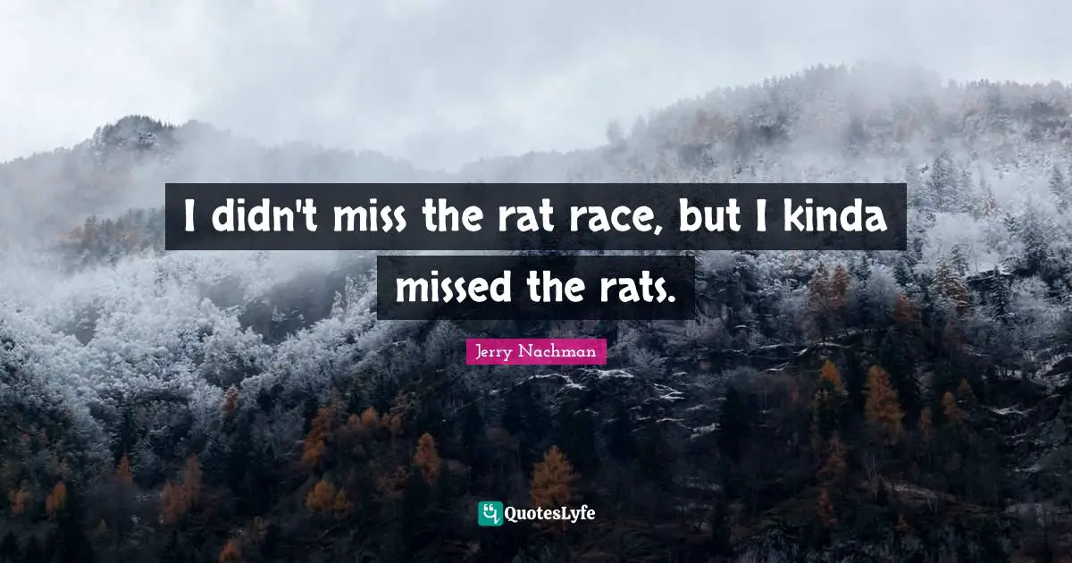 I didn't miss the rat race, but I kinda missed the rats.