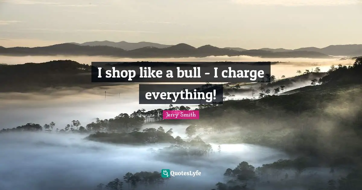 I shop like a bull - I charge everything!