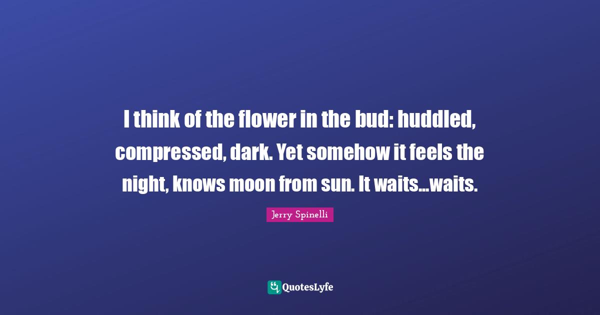 I think of the flower in the bud: huddled, compressed, dark. Yet somehow it feels the night, knows moon from sun. It waits...waits.
