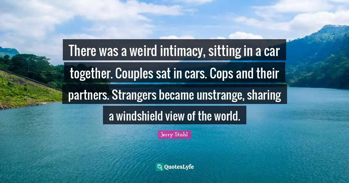 There was a weird intimacy, sitting in a car together. Couples sat in cars. Cops and their partners. Strangers became unstrange, sharing a windshield view of the world.