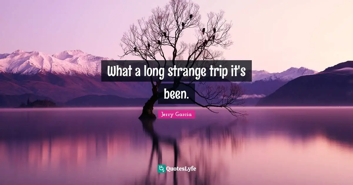 What a long strange trip it's been.