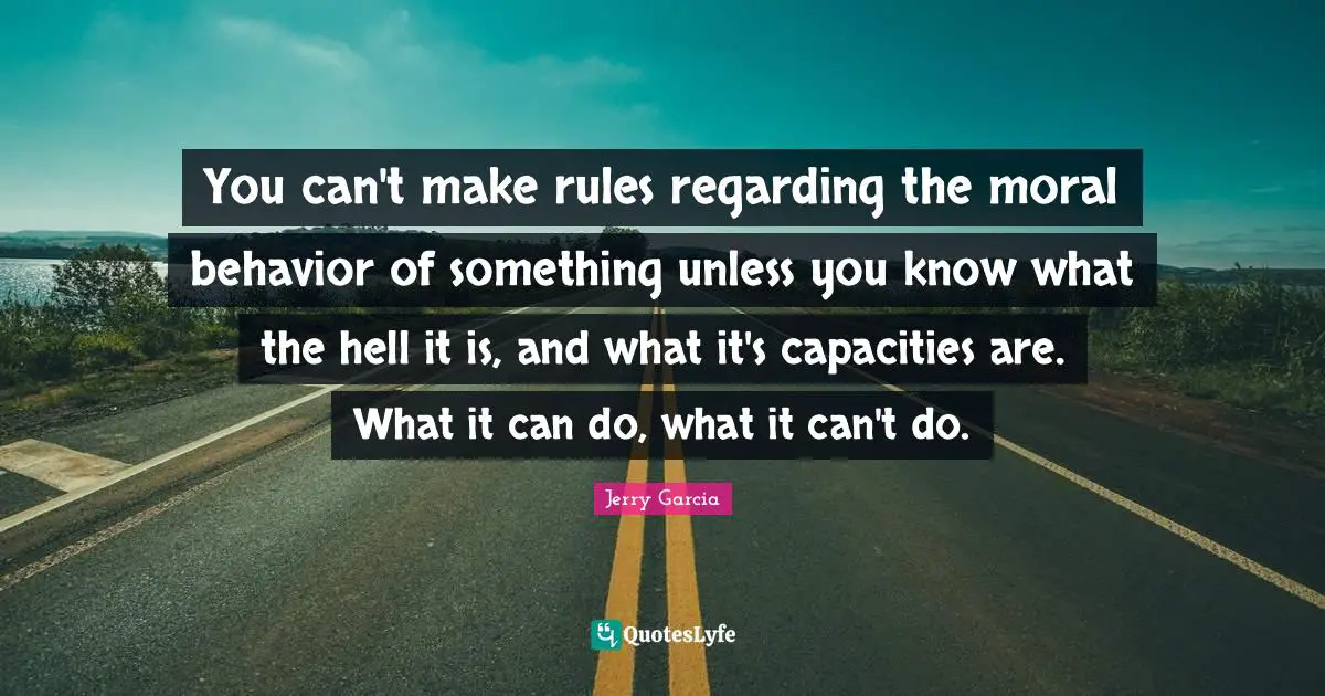 You can't make rules regarding the moral behavior of something unless you know what the hell it is, and what it's capacities are. What it can do, what it can't do.