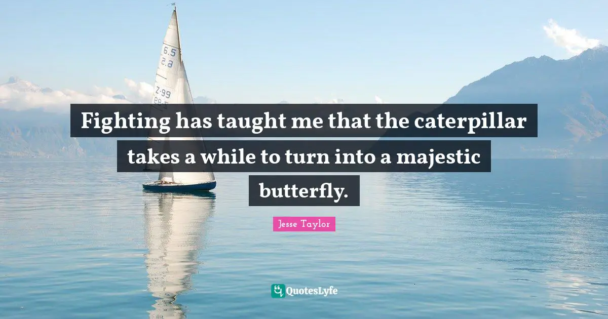Fighting has taught me that the caterpillar takes a while to turn into a majestic butterfly.