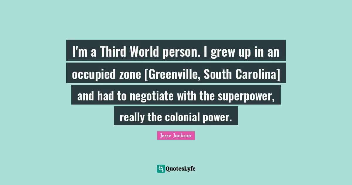 I'm a Third World person. I grew up in an occupied zone [Greenville, South Carolina] and had to negotiate with the superpower, really the colonial power.