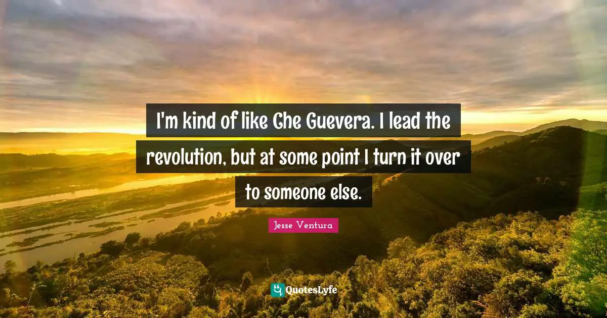 I'm kind of like Che Guevera. I lead the revolution, but at some point I turn it over to someone else.