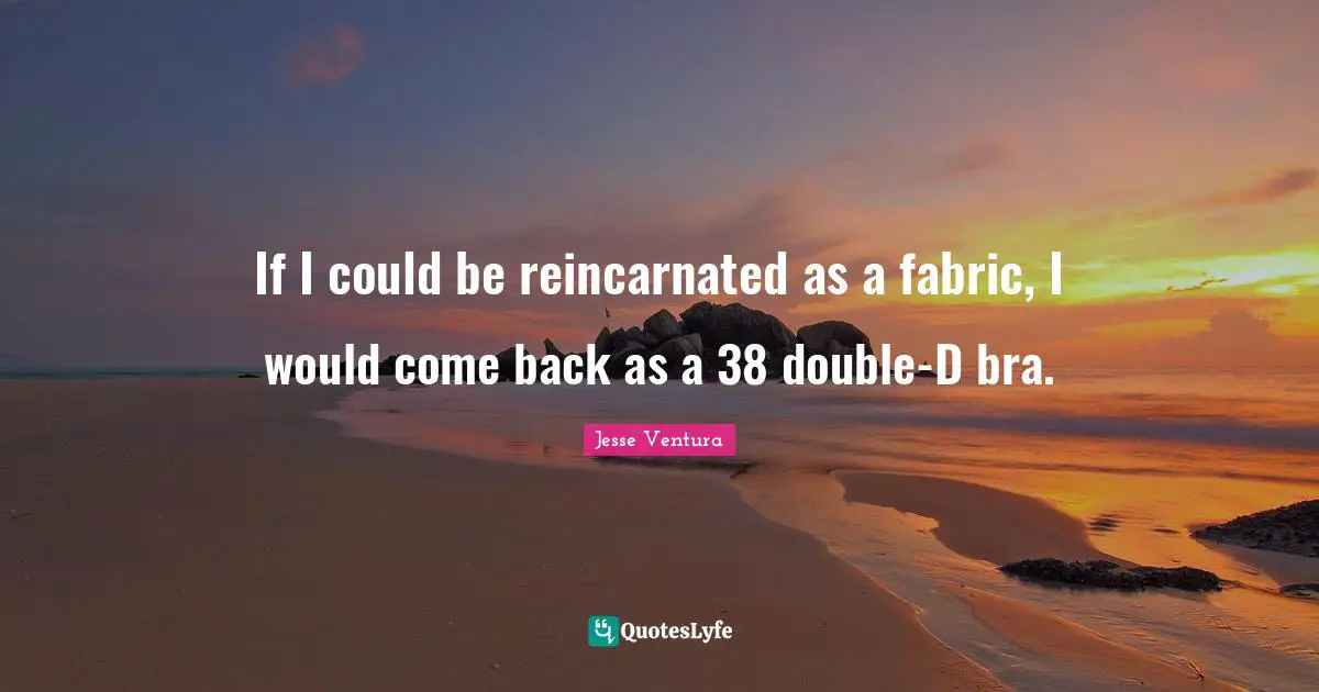 If I could be reincarnated as a fabric, I would come back as a 38 double-D bra.