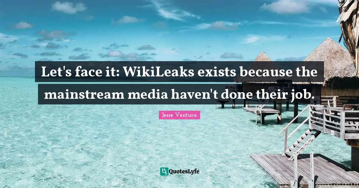 Let's face it: WikiLeaks exists because the mainstream media haven't done their job.