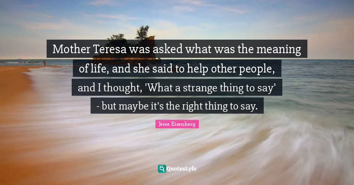 Mother Teresa was asked what was the meaning of life, and she said to help other people, and I thought, 'What a strange thing to say' - but maybe it's the right thing to say.